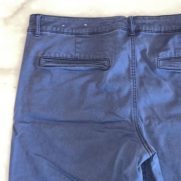 American Eagle Outfitters Blue Shorts - Picture 7 of 13